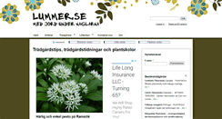 Desktop Screenshot of lummer.se