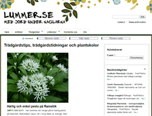 Tablet Screenshot of lummer.se